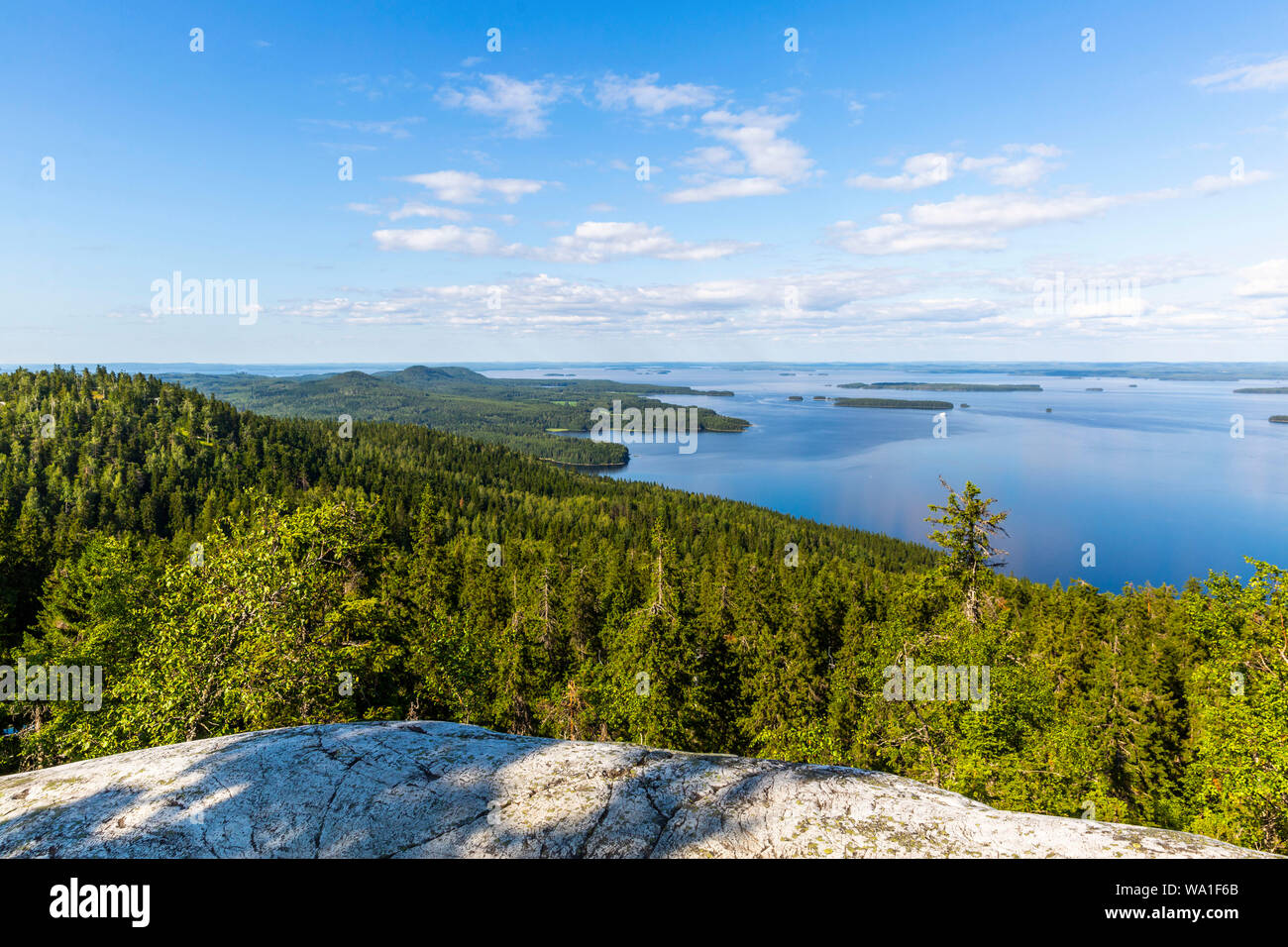 Panorama del parco nazionale di Koli e del lago di Pielinen in Finlandia Foto Stock