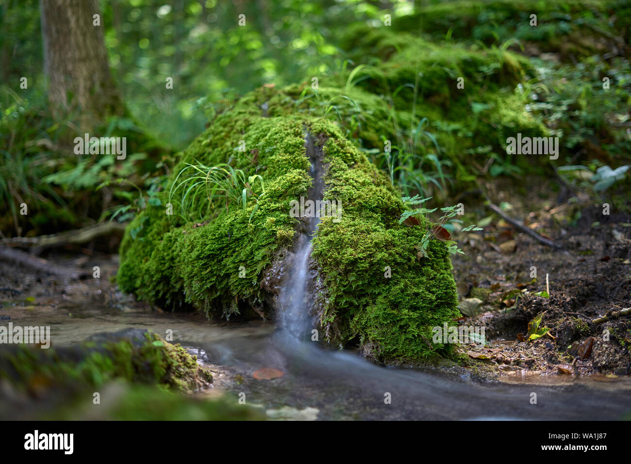 Steinerne Rinne, imbuto pietroso Foto Stock