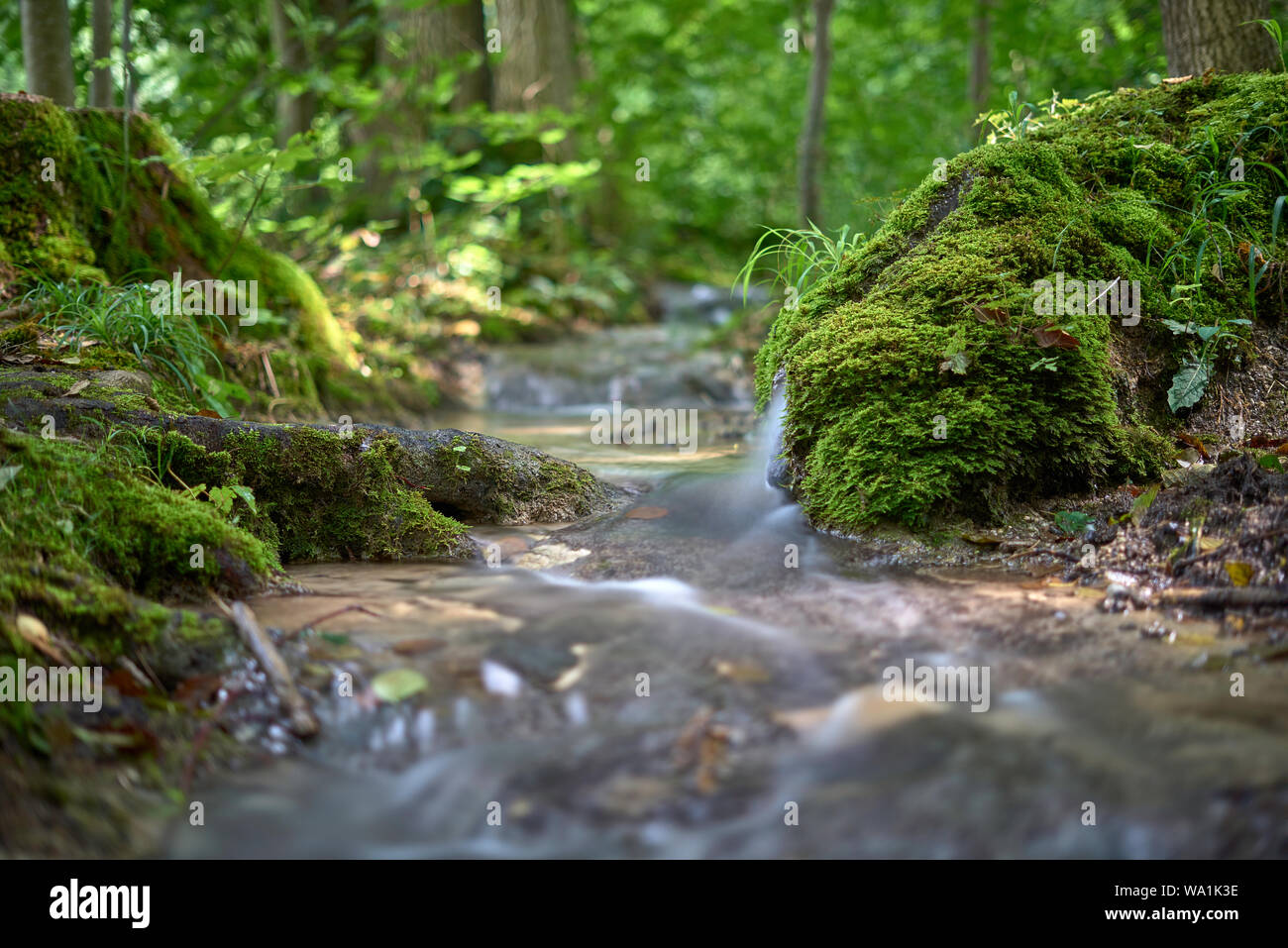 Steinerne Rinne, imbuto pietroso Foto Stock