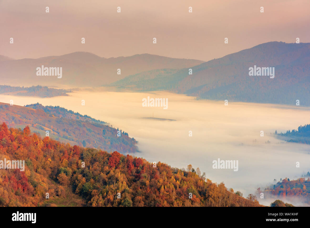 La nebbia nella valle di sunrise. bellissimo paesaggio autunnale montagne. bosco su per la collina di caduta delle foglie. Foto Stock