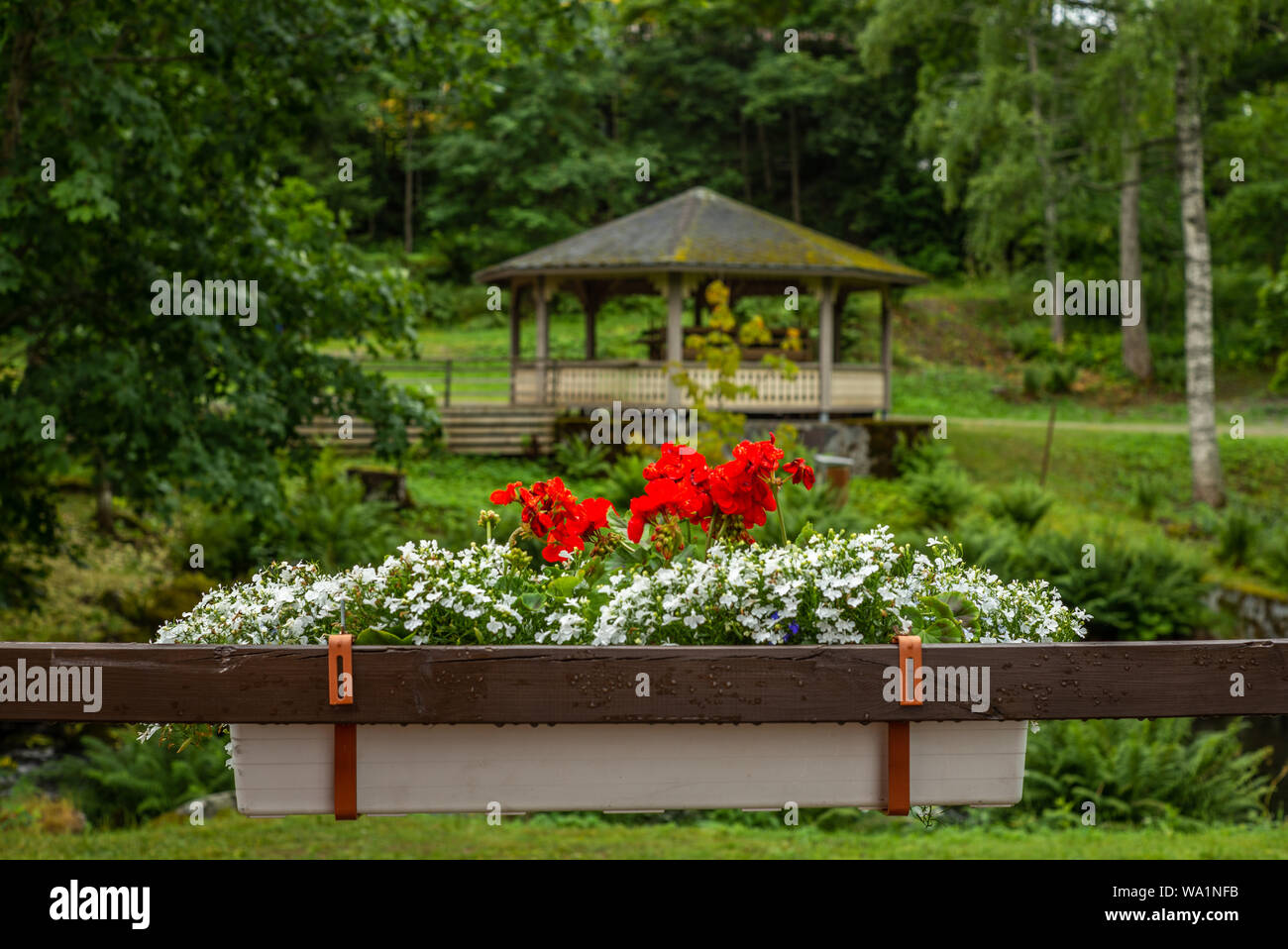 Fiori e gazebo s in un parco a Enonkoski in Finlandia in estate - 1 Foto Stock
