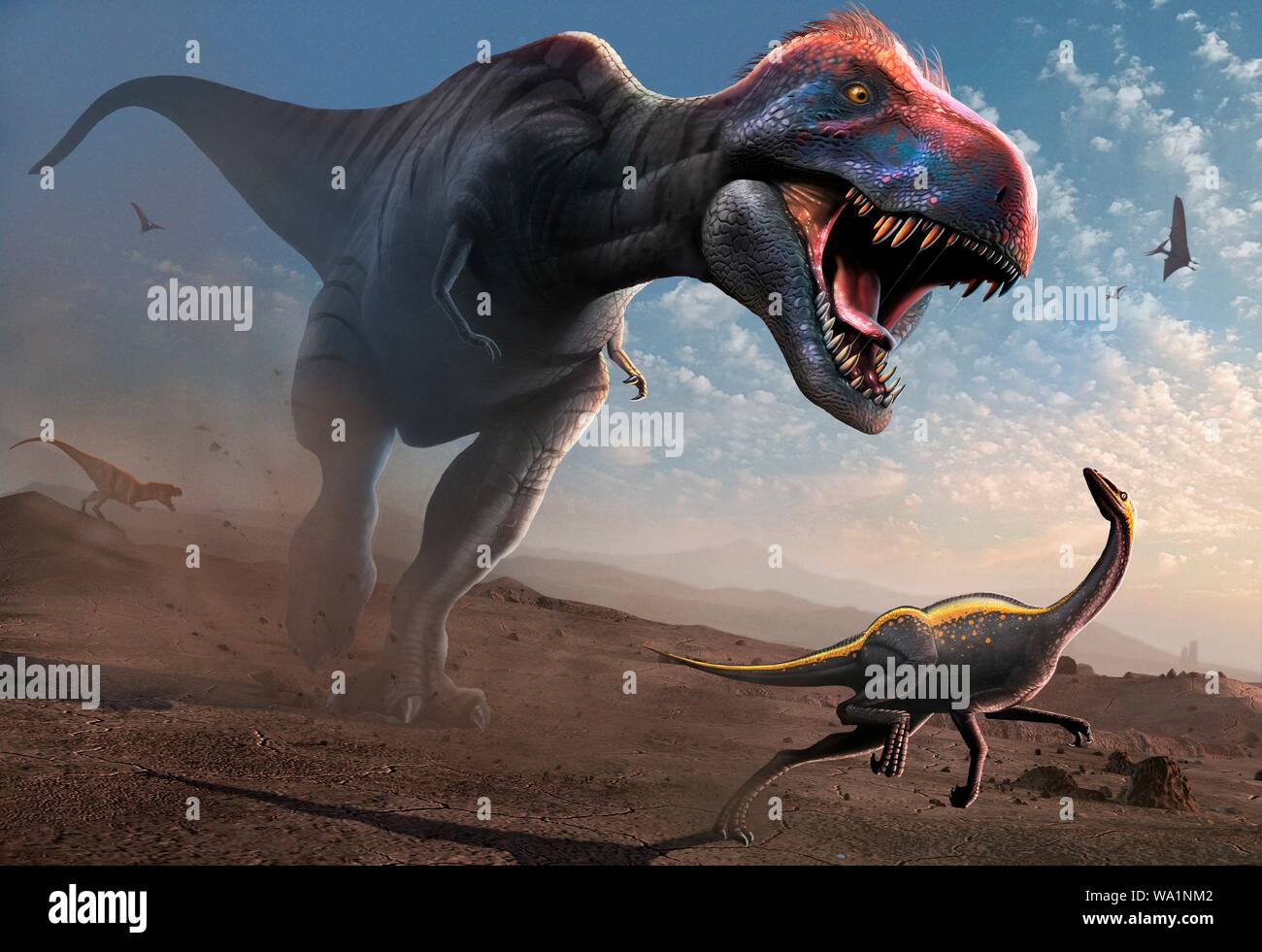 Ora di Cena. Una fame Tyrannosaur insegue giù per una fuga Ornithomimus. Il tempo è la fine del Cretacico, durante l'età Maastrichtian, e la fine del lungo regno dei dinosauri è in vista. Foto Stock