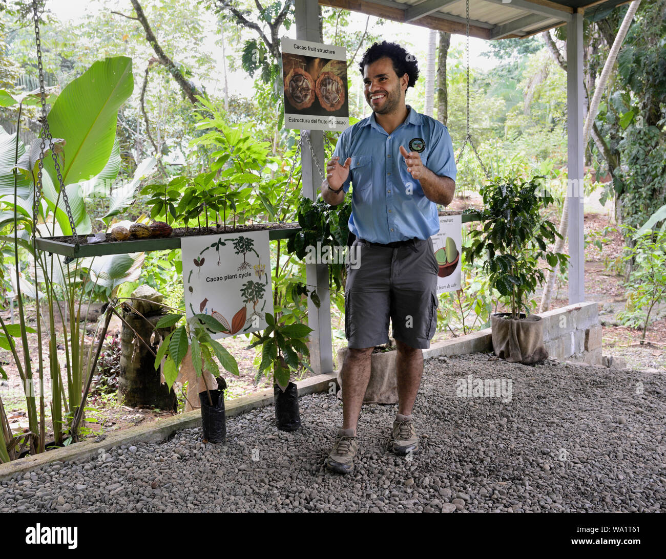 Il cioccolato tour guida dando la presentazione, Costa Rica Foto Stock