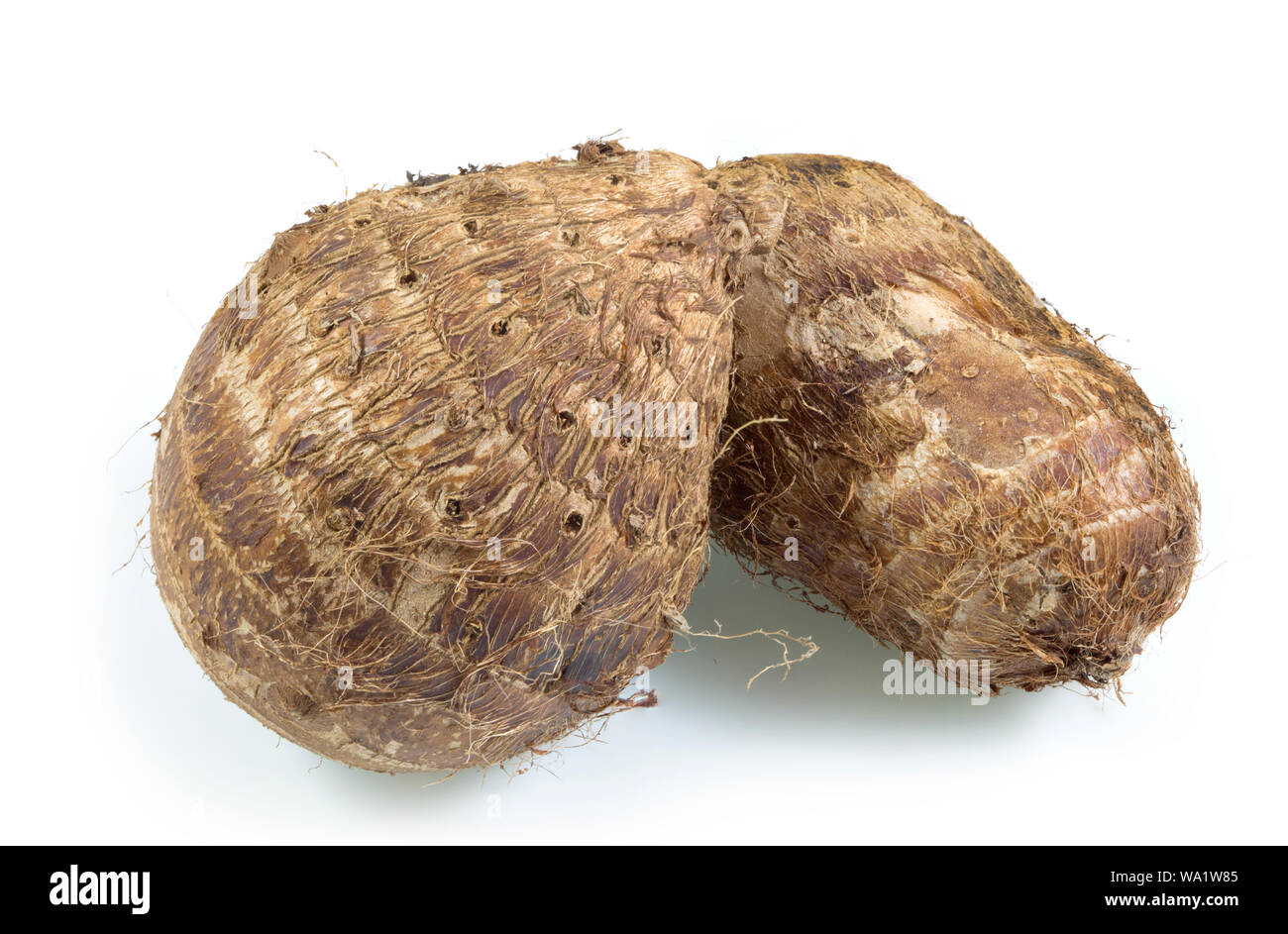 Radice del taro dolce o tropicale Asiatica organico patata dolce isolato su sfondo bianco, sano concetto. Foto Stock