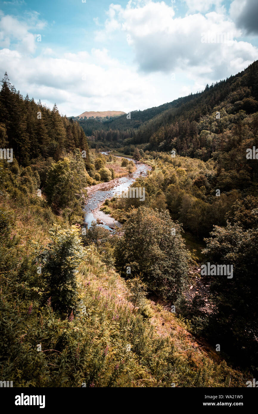 Una vista fiabesca dell'Afon Ystwyth (fiume Ystwyth) che scorre attraverso una valle boscosa sulla tenuta di Hafon, Ceredigion, Galles Foto Stock