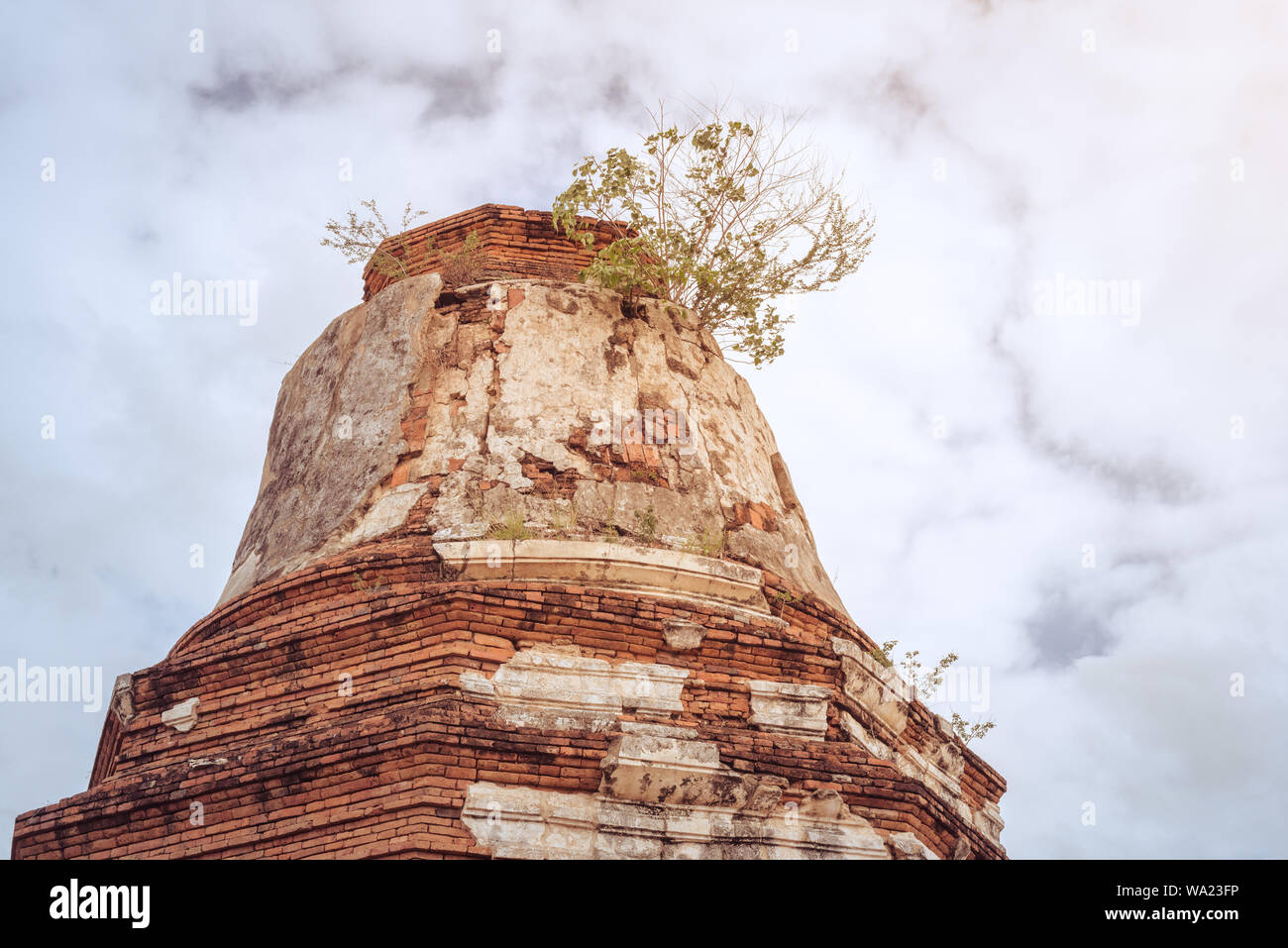 Rovinato stupa buddisti con un albero vivo sulla parte superiore contro il drammatico sky. Un antico tempio in Thailandia - Wat Thammikarat, Ayutthaya. Foto Stock