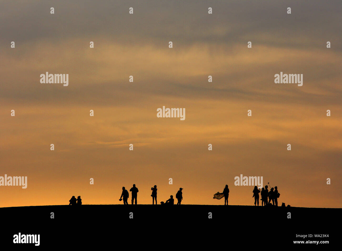 Sono disponibili in tutte le forme Foto Stock
