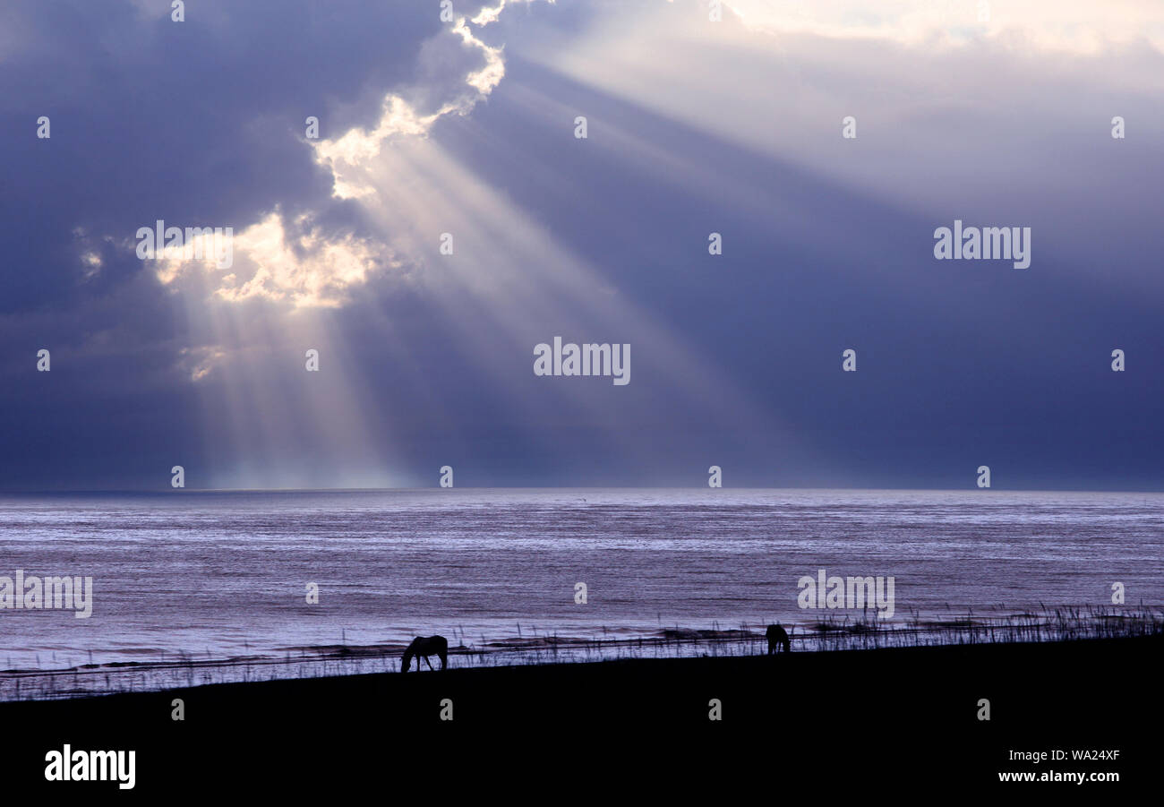 Lago di Qinghai alba Foto Stock
