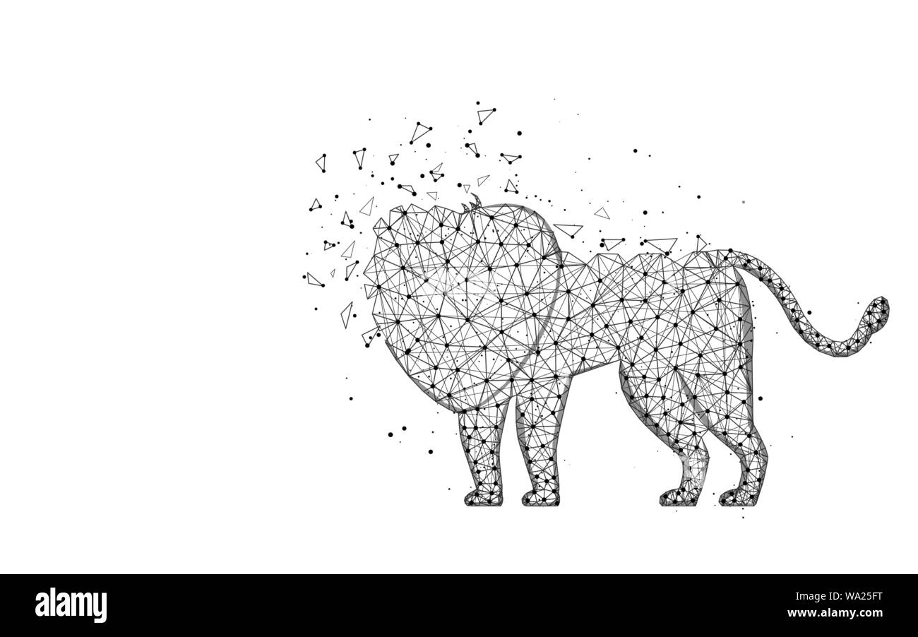 Lion bassa poli design, Animali africani astratta immagine geometrica, gatto selvatico wireframe poligonale mesh illustrazione vettoriale costituito da punti e linee su whi Illustrazione Vettoriale