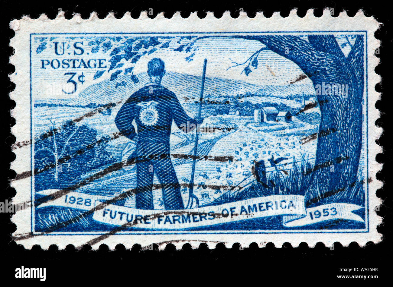 I futuri agricoltori d'America, francobollo, USA, 1953 Foto Stock