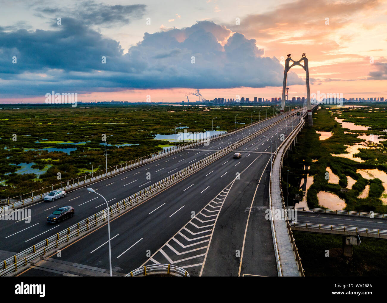 Ponte delle paludi Foto Stock