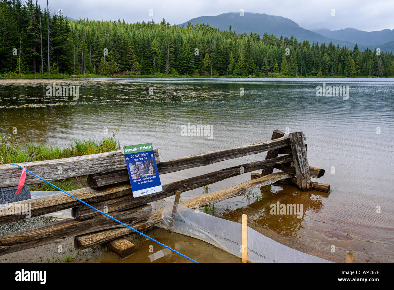 WHISTLER, BC/CANADA - Agosto 2, 2019: habitat sensibili segno sulla rampa di split recinto sul lago perduto park beach. Lago perduto il paesaggio con le barriere di protezione Foto Stock
