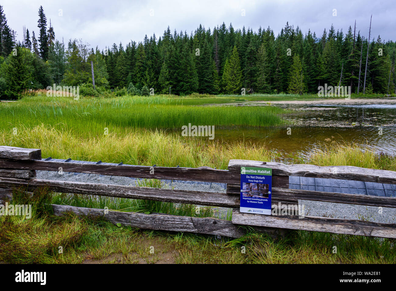 WHISTLER, BC/CANADA - Agosto 2, 2019: habitat sensibili segno sulla rampa di split recinto sul lago perduto park beach. Lago perduto il paesaggio con le barriere di protezione Foto Stock