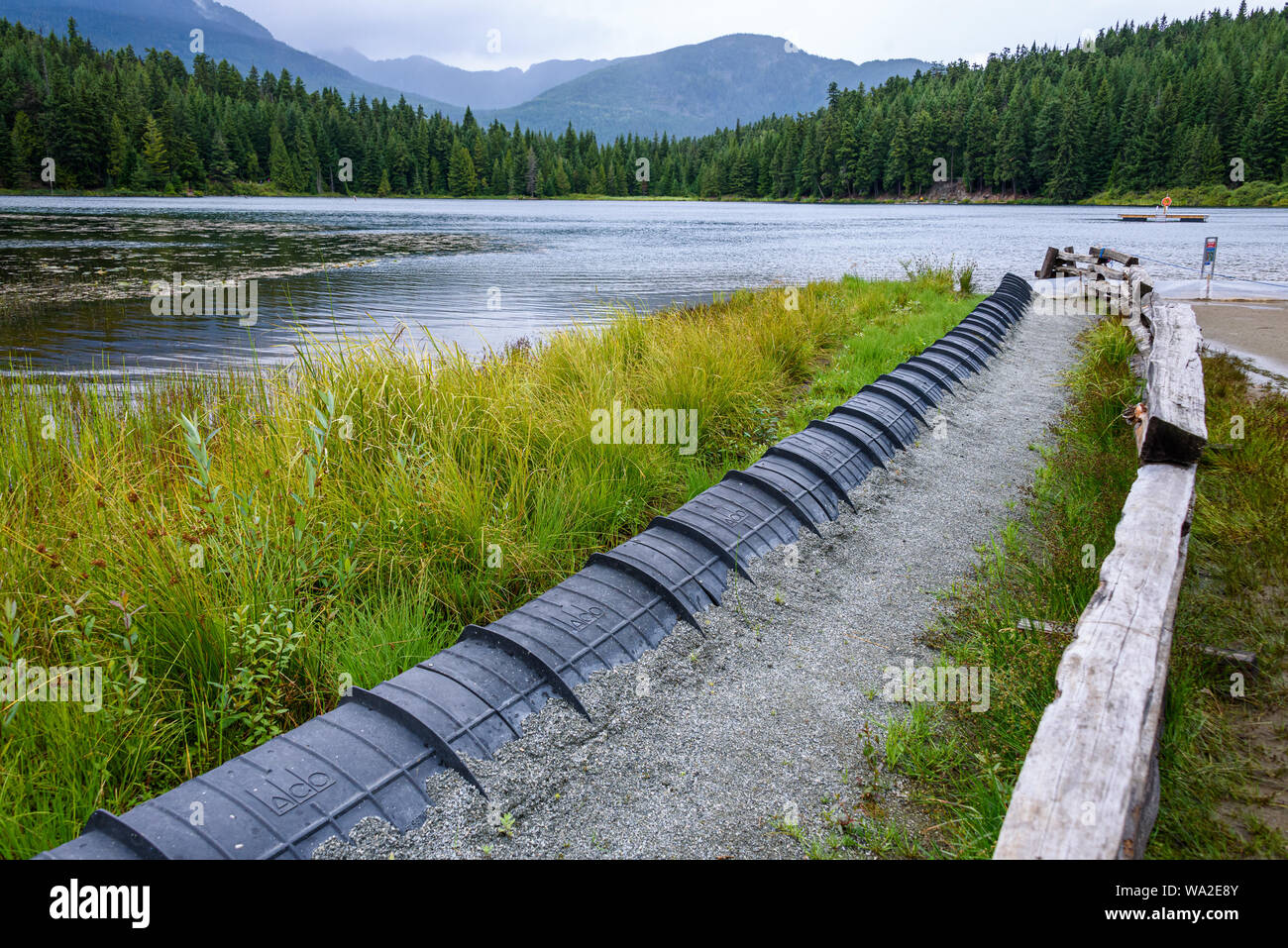 WHISTLER, BC/CANADA - Agosto 2, 2019: sensibili habitat palustri in perso il parco del lago. Protezione nero canale sotterraneo di impostare per la protezione del Western rospi assortiti Foto Stock