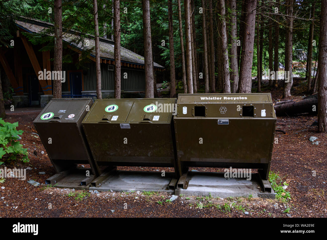 WHISTLER, BC/CANADA - Agosto 2, 2019: Orso prova riciclare e cassonetti in perso il parco del lago. Foto Stock