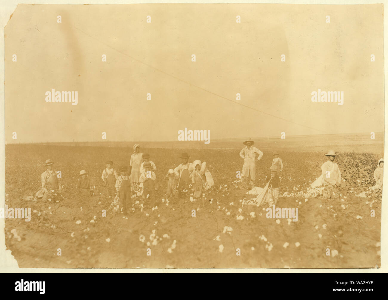 Benton Hill, un noleggiatore, Tinney, Okla. Altre due famiglie sono state aiutando il sig. Hill e i suoi figli il suo prelievo di cotone. Quattro adulti e 10 bambini di età seguenti: 1 bambino di 3 anni, 2 ragazzi e 1 ragazza di 5 anni, 1 ragazzo e 1 ragazza di 7 anni e un ragazzo di 8, 1 bambino di 9 anni e 1 ragazza di 11 anni e un ragazzo di 15 anni. Tutti avevano un sacco e stava raccogliendo industriously. I genitori detto che Fred, 3 anni, talvolta picks 20 libbre al giorno e vera, 5 anni, picks 25 libbre al giorno. Vedi foto di Fred e Vera. Foto Stock