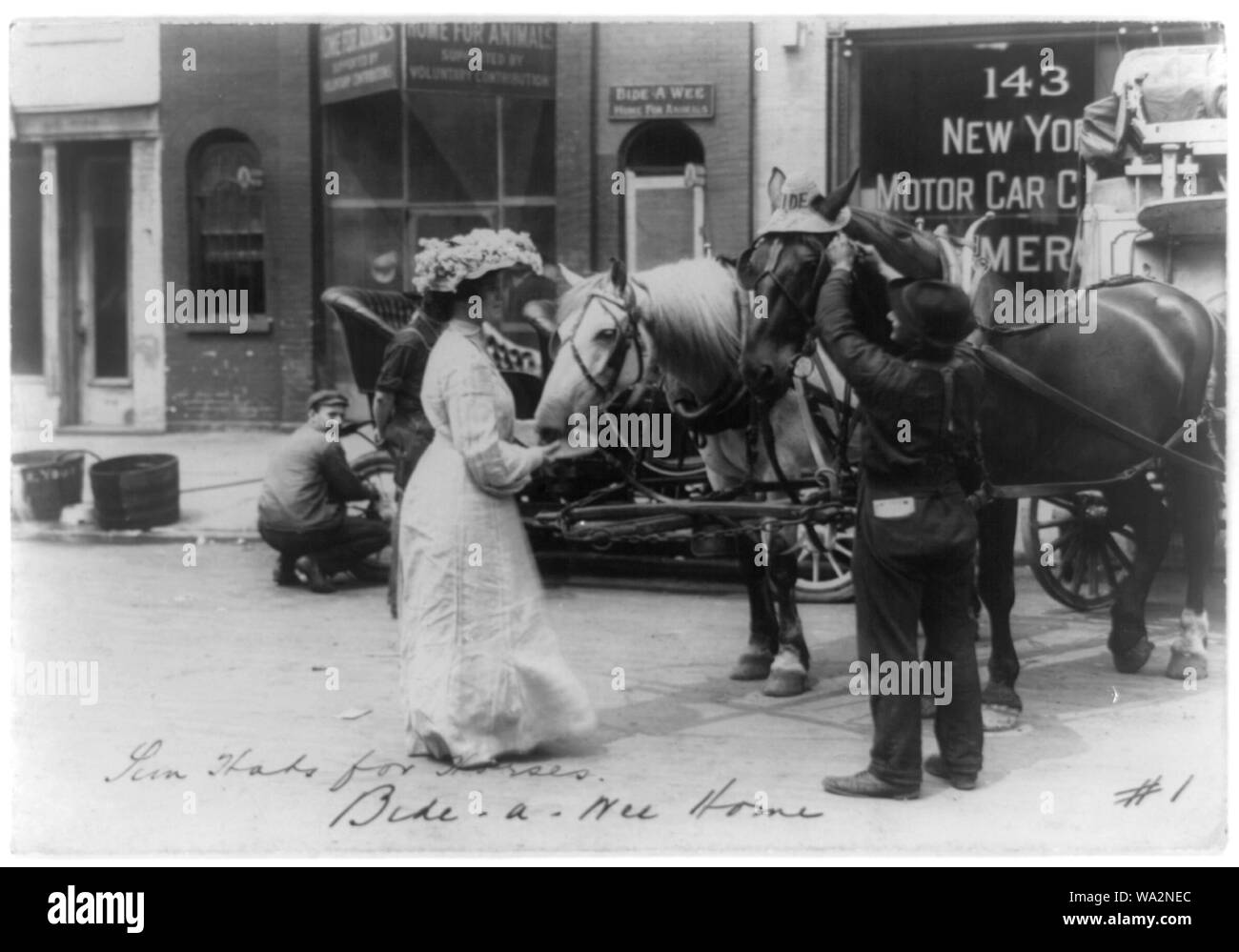 'Rimanete-A-Wee Home per animali, New York, N.Y.: uomo mettere cappello per il sole sul cavallo e donna tenendo premuto un altro hat Foto Stock