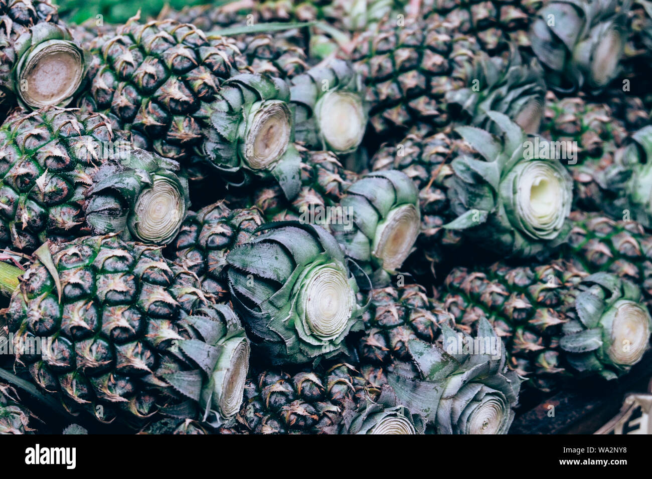 Hawaiian ananassi sfondo. Frutta estiva idea Foto Stock
