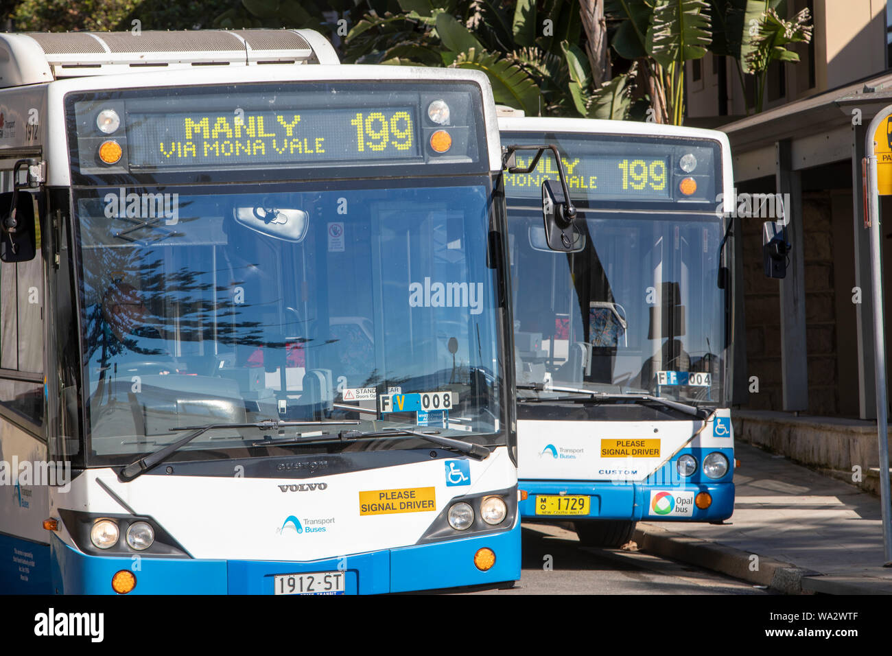 Due Sydney gli autobus del trasporto pubblico a fianco a fianco in Palm Beach,Sydney , Australia Foto Stock