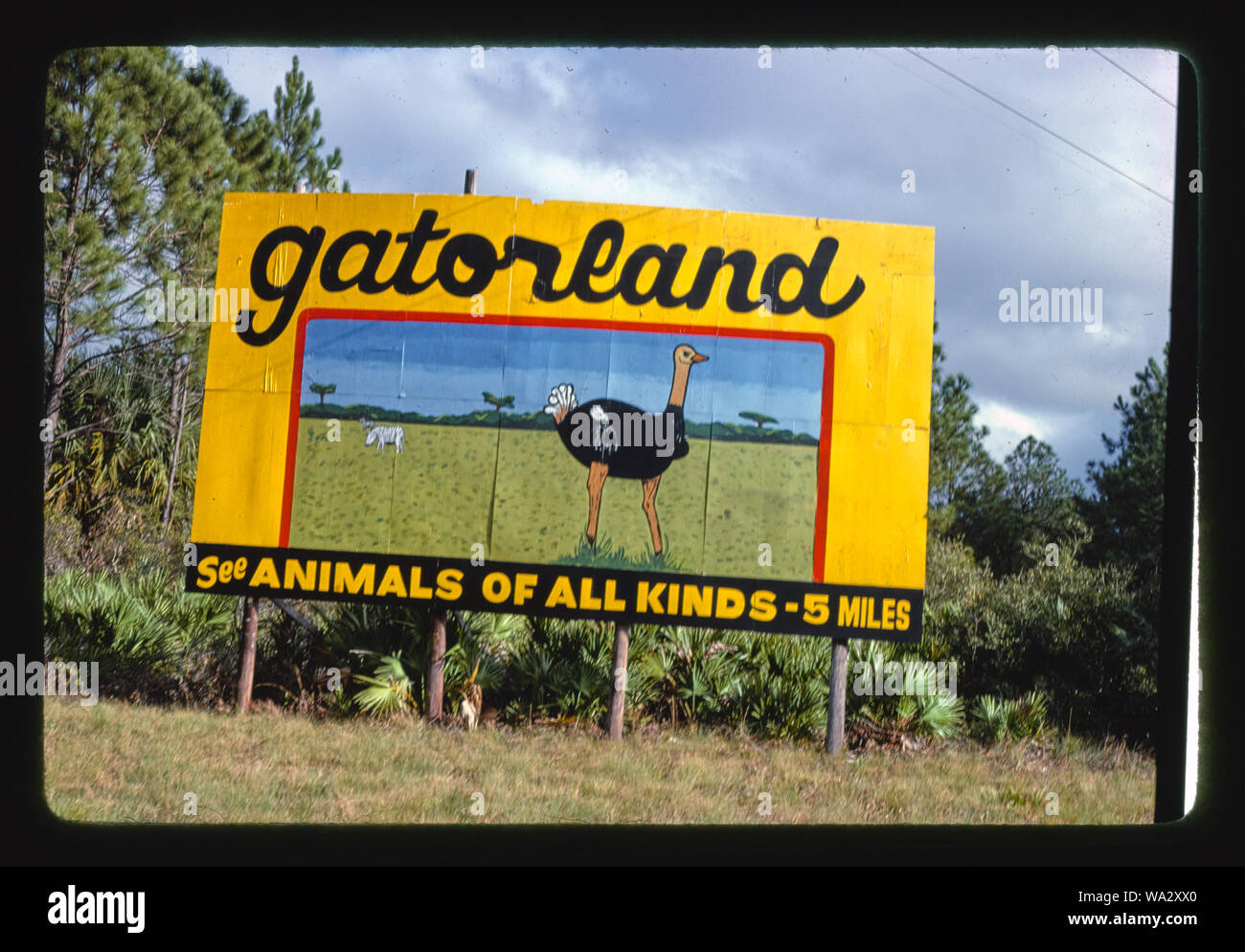 Affissioni, Route 1, Sant'Agostino, Florida Foto Stock