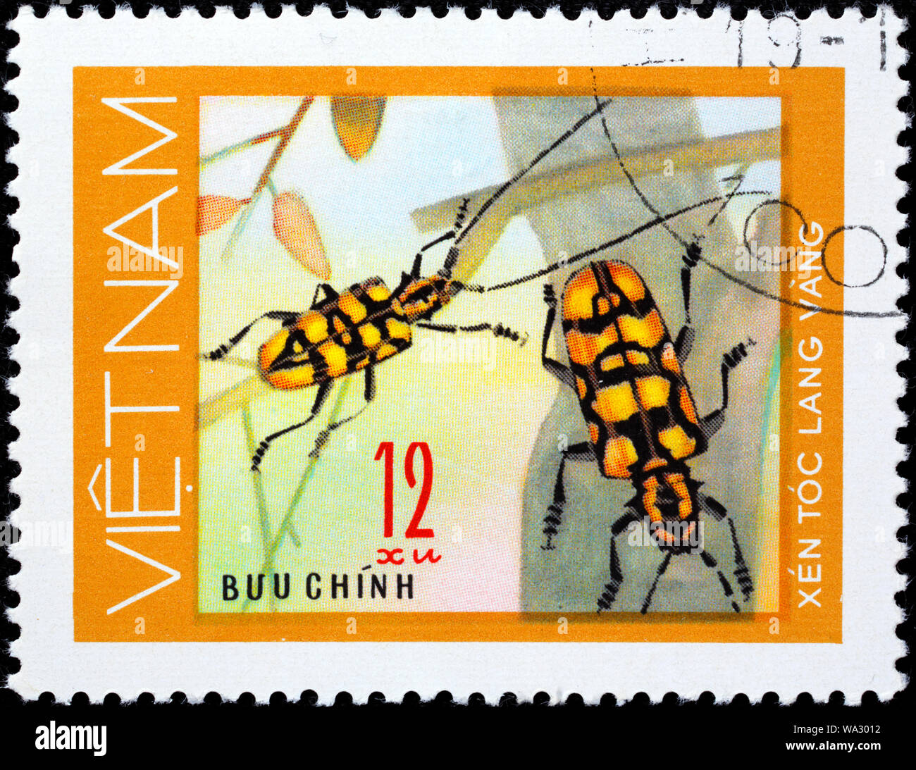 Giallo-spotted Longhorn Beetle, Cerambycidae, francobollo, Vietnam, 1977 Foto Stock