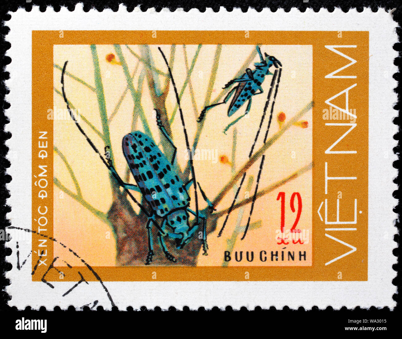 Nero-spotted Longhorn Beetle, Rhagium mordax, Cerambycidae, francobollo, Vietnam, 1977 Foto Stock