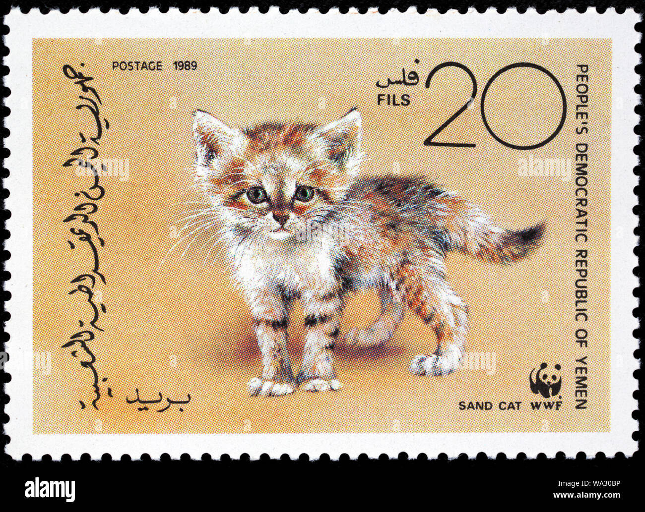 Dune di sabbia cat, Felis margarita, francobollo, Yemen, 1989 Foto Stock