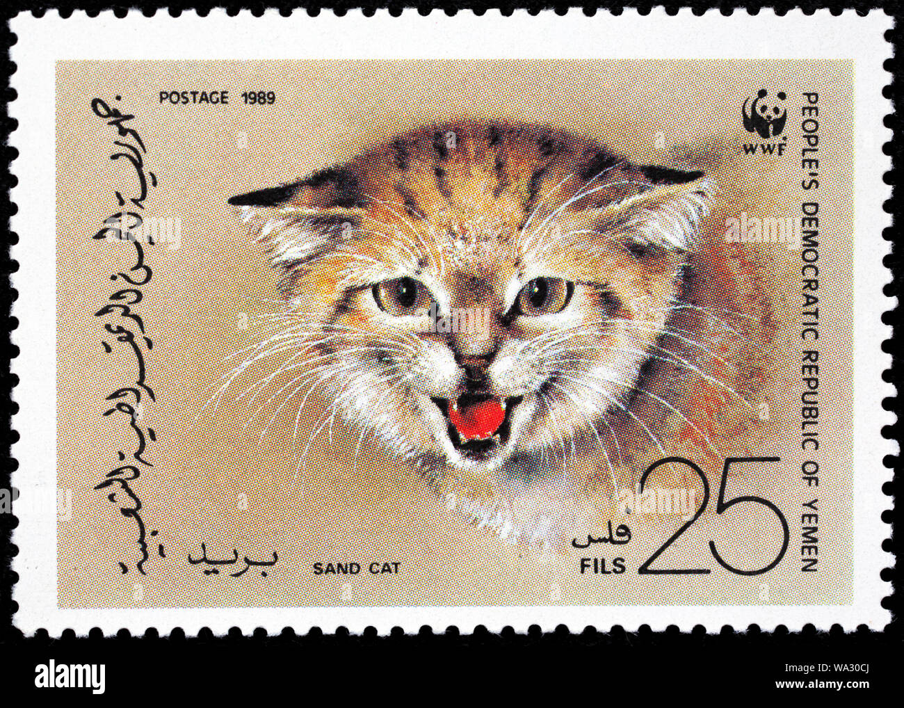Dune di sabbia cat, Felis margarita, francobollo, Yemen, 1989 Foto Stock