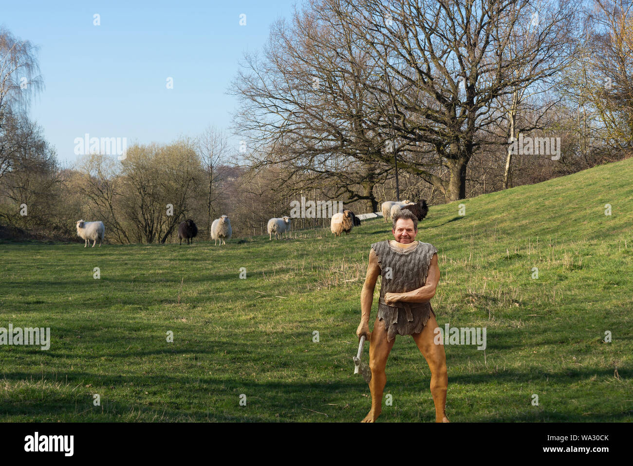 Cartoon illustrazione di una figura di Neanderthal di plastica con ascia di guerra su un prato mentre la caccia per gli ovini Foto Stock