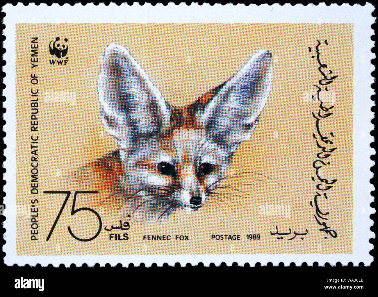 Fennec fox, Vulpes zerda, francobollo, Yemen, 1989 Foto Stock