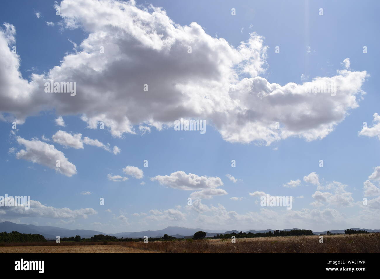 Paesaggio estivo con un nuvoloso cielo blu. Una meravigliosa vista del mediterraneo in Sardegna, Italia Foto Stock