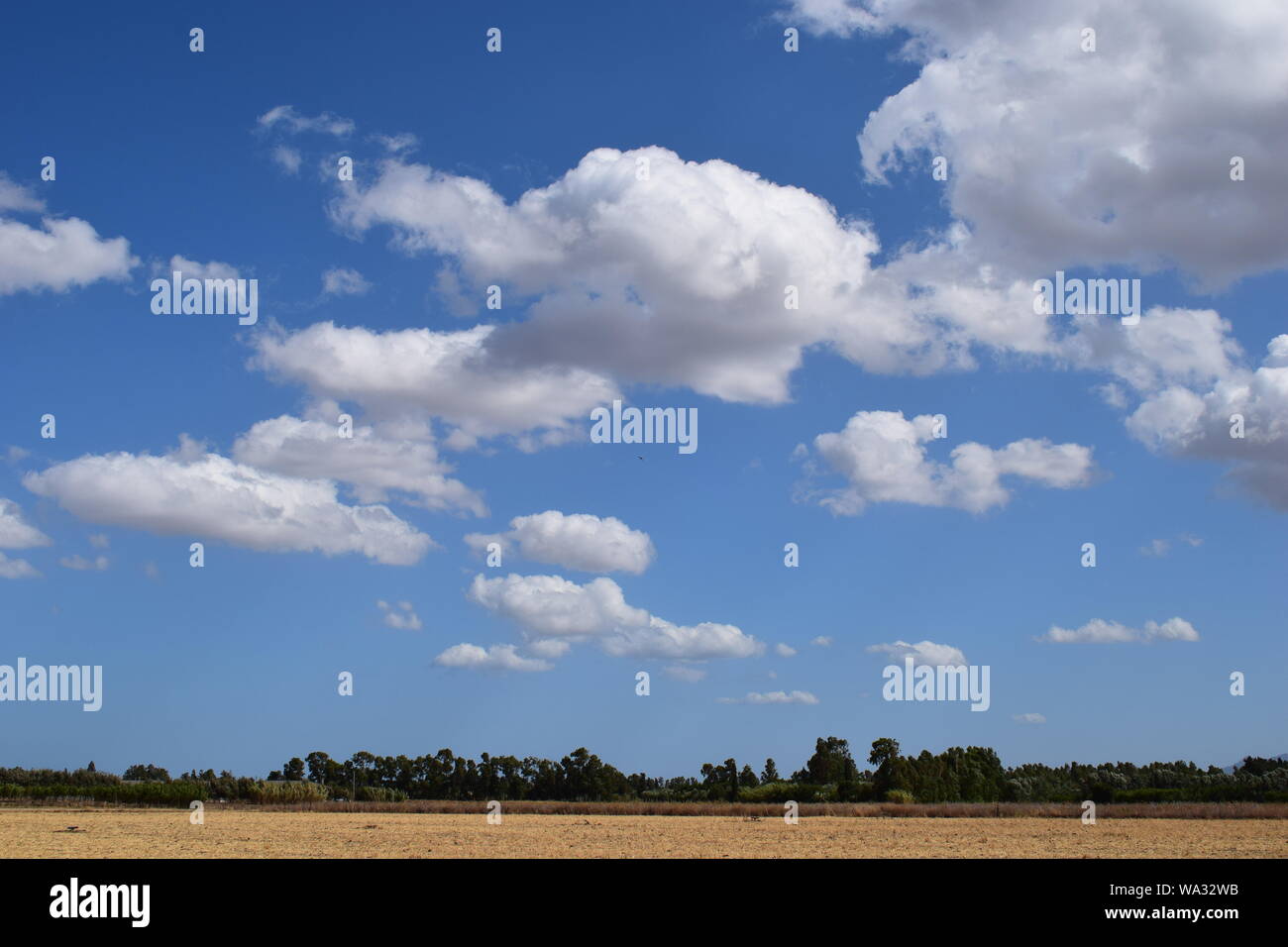 Paesaggio estivo con un nuvoloso cielo blu. Una meravigliosa vista del mediterraneo in Sardegna, Italia Foto Stock