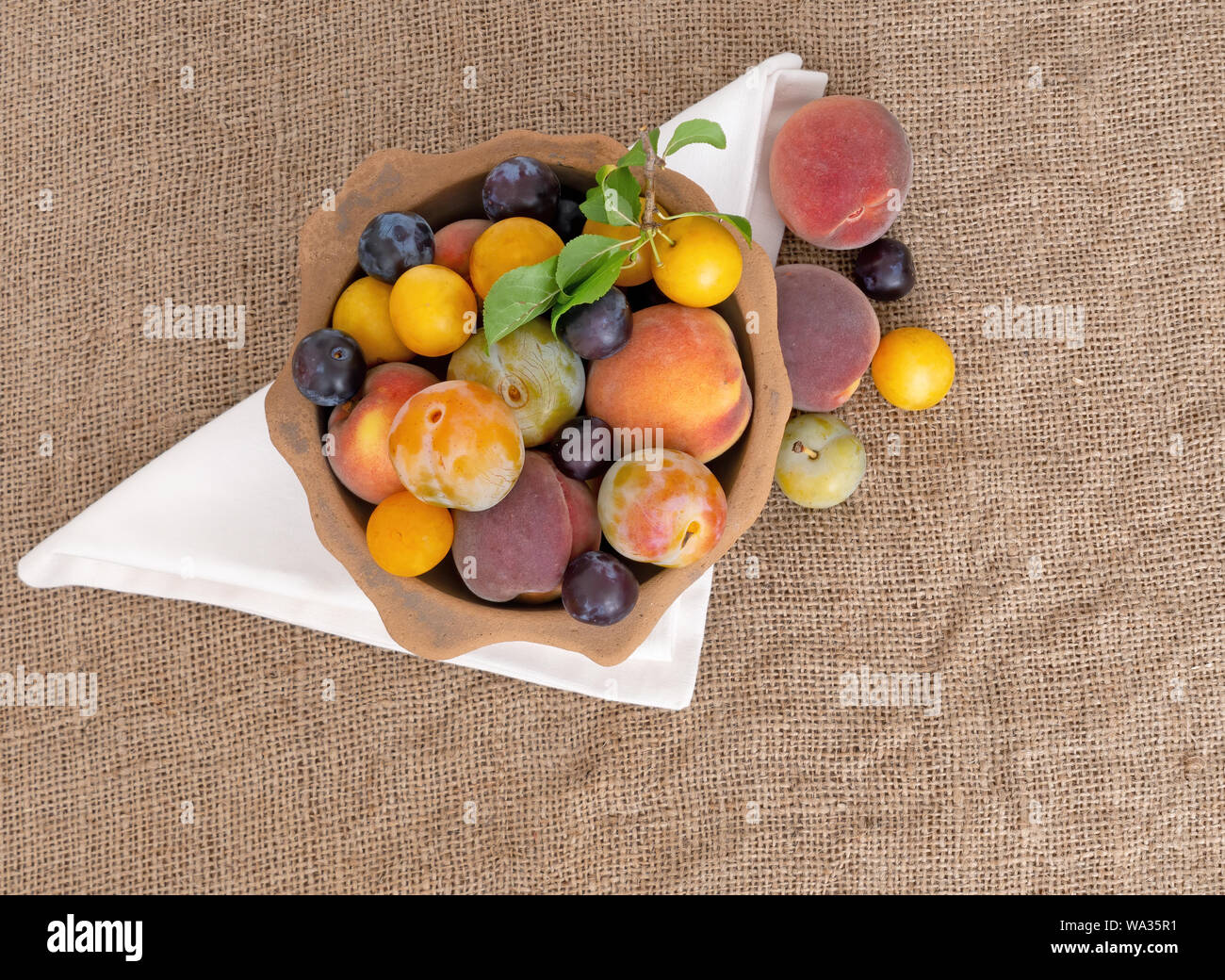 In vecchio stile frutti da un lungo abbandonato frutteto antico recipiente di terracotta, su hessian. Foraged frutta naturale. Tiny prugne, pesche ecc. Foto Stock