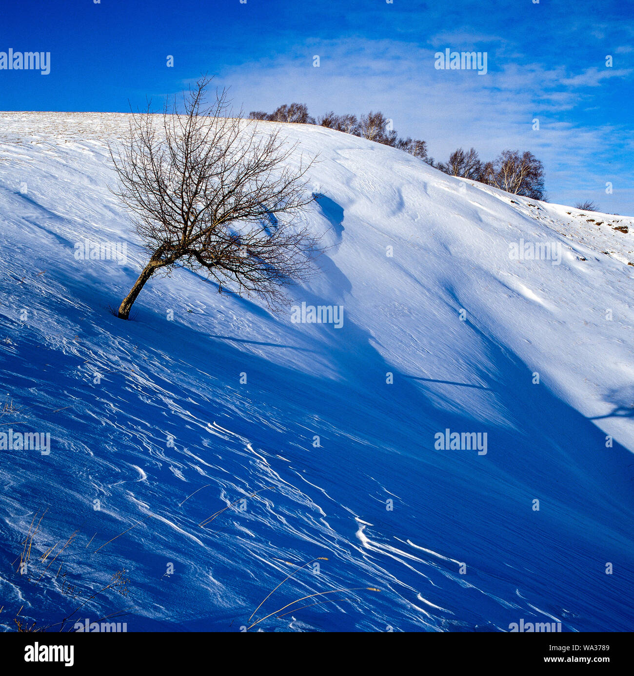 Bashang paesaggio invernale Foto Stock