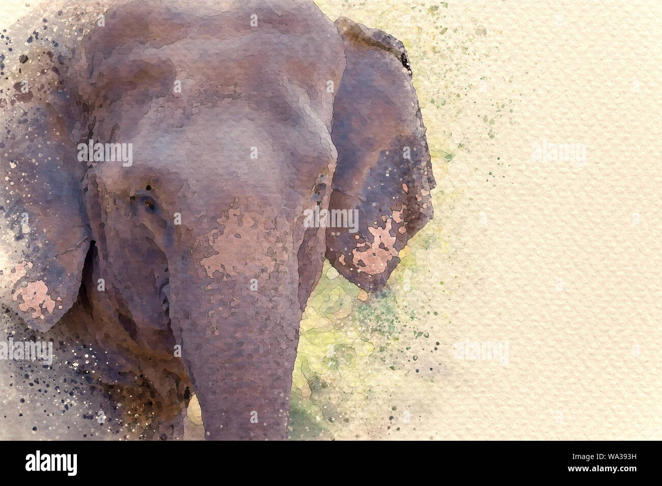 Elefante asiatico faccia nella foresta. Digital pittura ad acquerello effetto. Copia spazio per il testo. Foto Stock