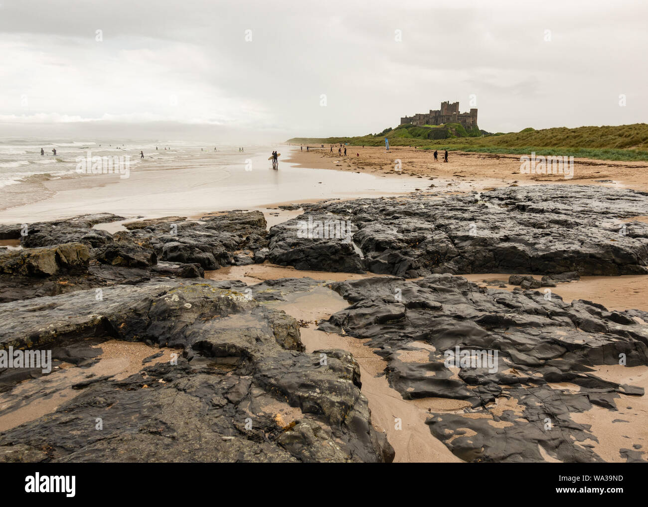 Il castello di Bamburgh da rocce Harkess, Bamburgh, Northumberland, England, Regno Unito Foto Stock
