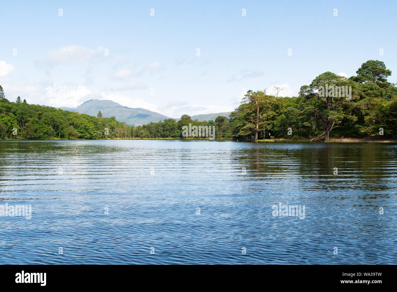 La si restringe, una calma tratto di acqua che separa Inchconnachan e Inchtavannach sul Loch Lomond Scozia, Regno Unito - (guardando verso di Ben Lomond) Foto Stock