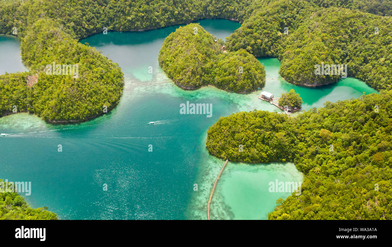 Cove e laguna blu tra piccole isole coperte di foresta pluviale. Laguna di Sugba, Siargao, Filippine. Veduta aerea della laguna di Sugba, Siargao, Filippine. Foto Stock