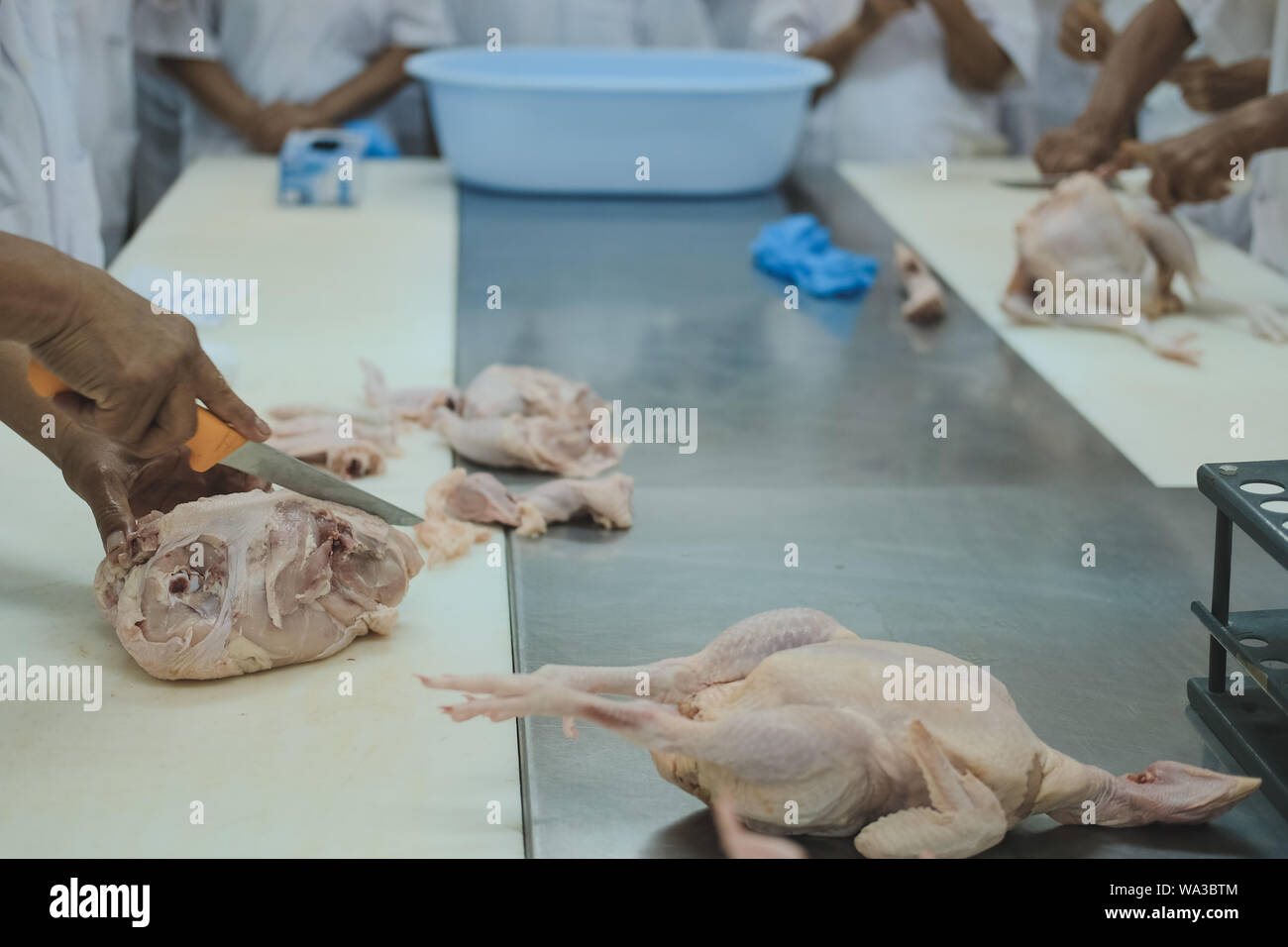 Taglio della carcassa di pollo nella fabbrica di produzione di pollame in stabilimento alimentare industria Foto Stock