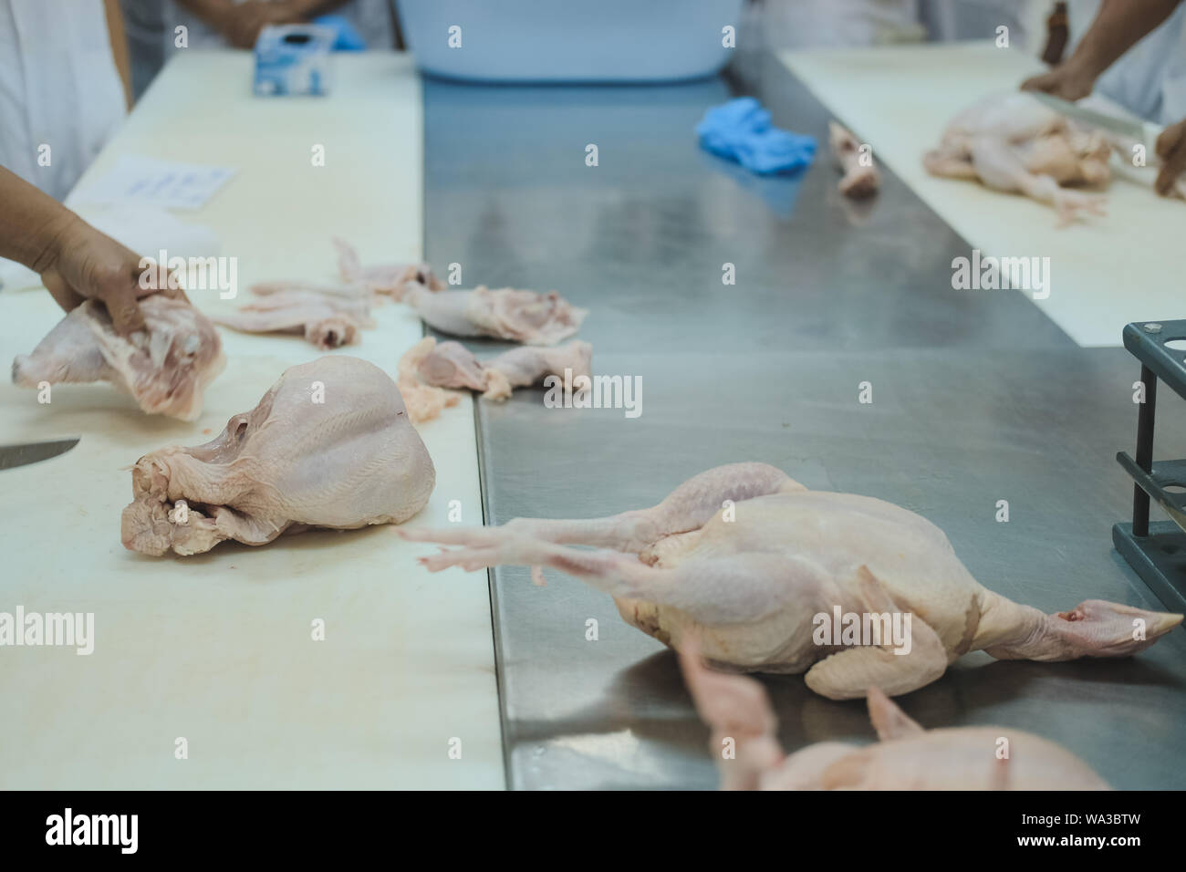 Taglio della carcassa di pollo nella fabbrica di produzione di pollame in stabilimento alimentare industria Foto Stock