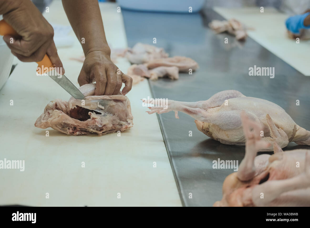 Taglio della carcassa di pollo nella fabbrica di produzione di pollame in stabilimento alimentare industria Foto Stock