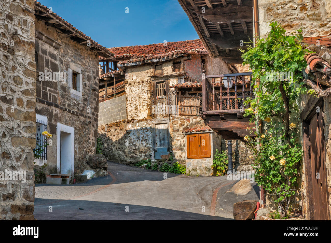 Vecchie case nel villaggio di Mogrovejo a Valle di Liebana, Macizo Central (Macizo Los Urrieles) a Picos de Europa, Cantabria, SPAGNA Foto Stock