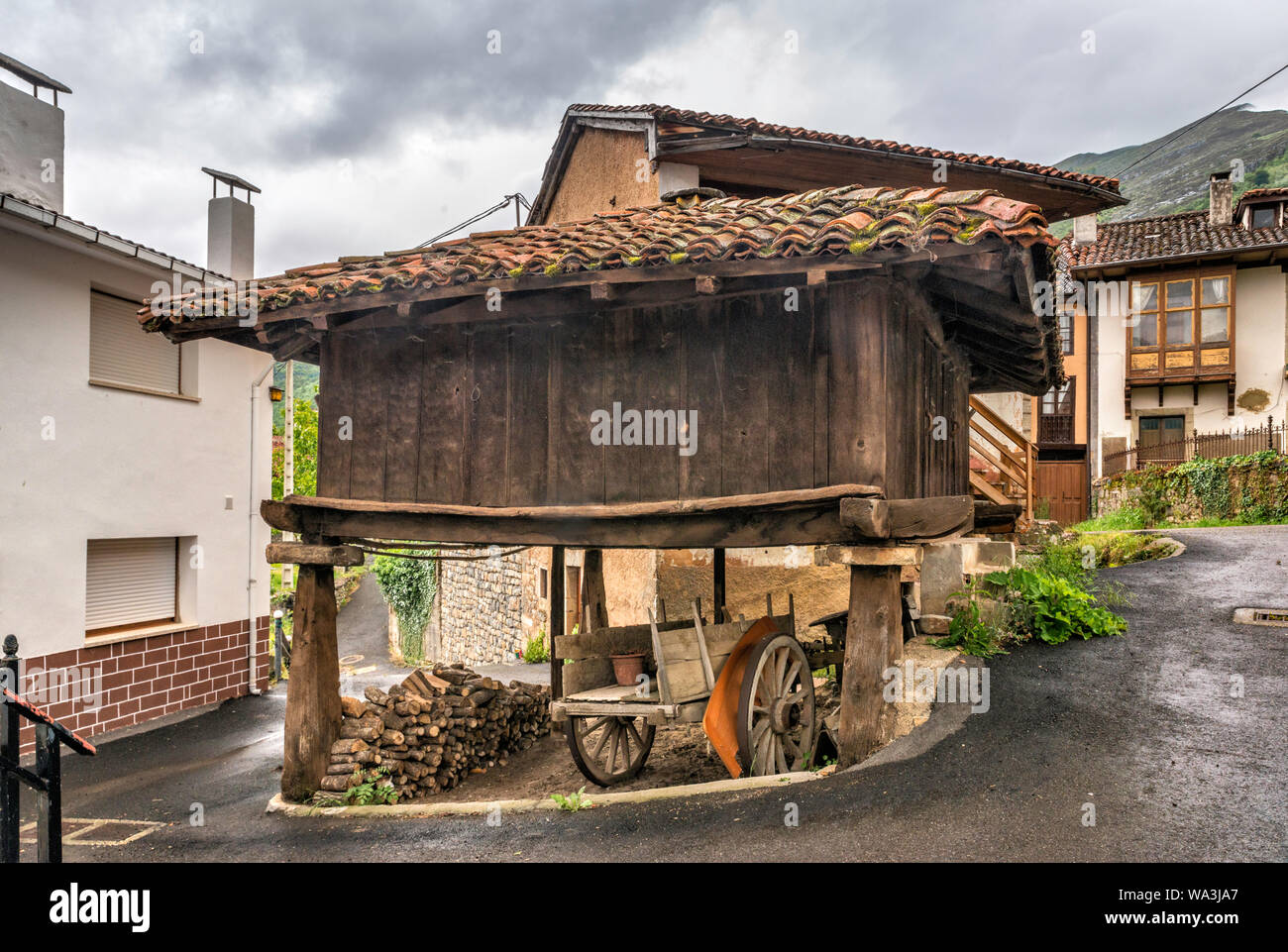 Horreo, sollevata tradizionale granaio, nel villaggio di San Juan de Beleno, ponga parco naturale, Asturias, Spagna Foto Stock