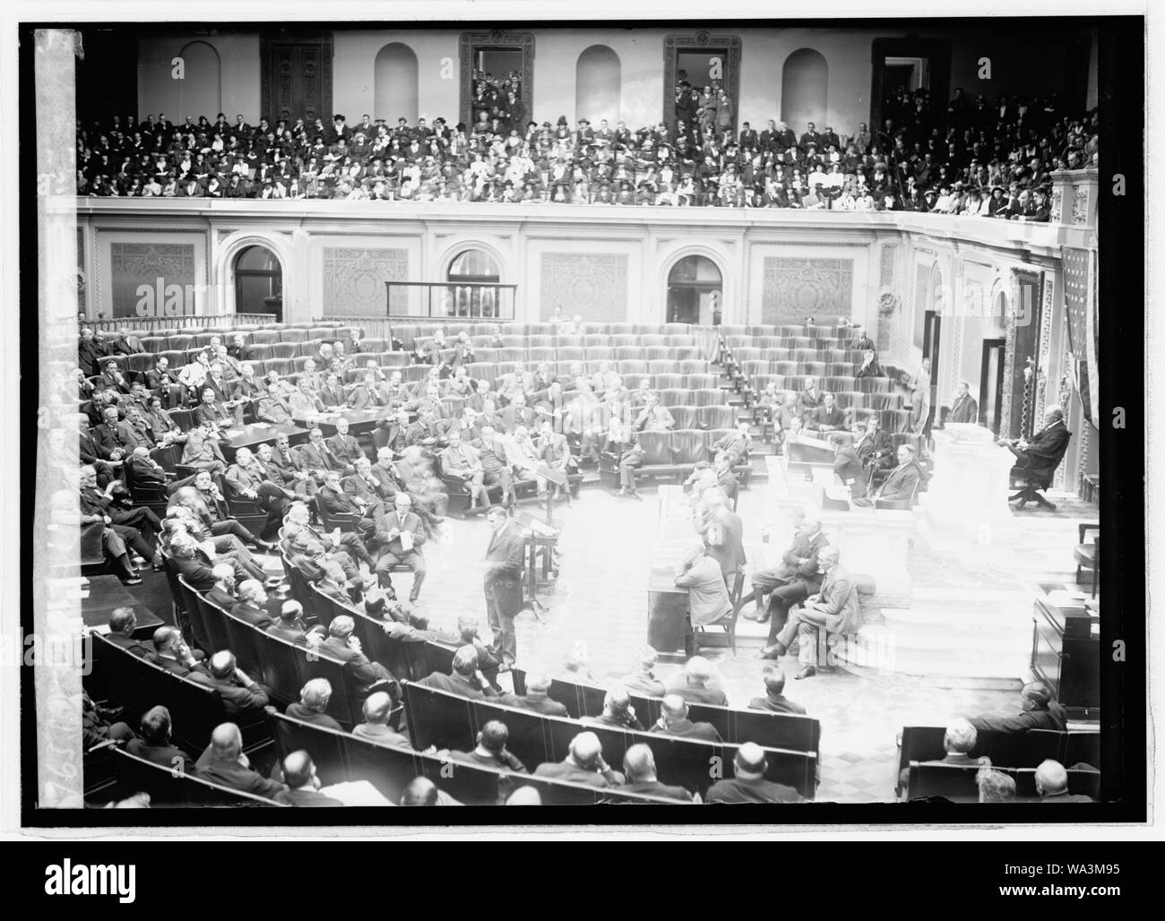 Blanton sul pavimento della casa, [10/27/21] Foto Stock