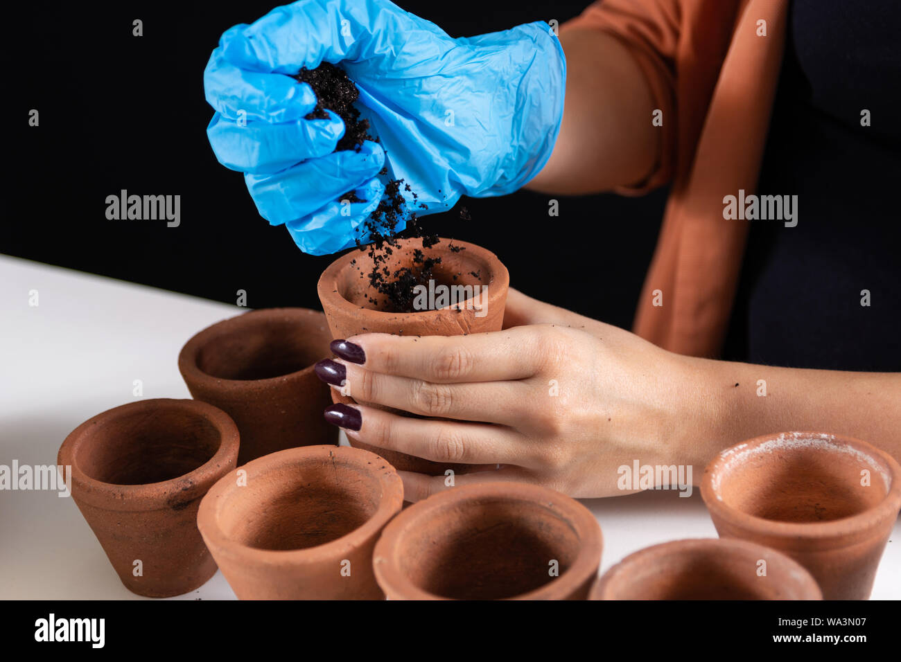 Donna mano con guanti di protezione tenendo il vaso in terracotta e versando il terreno nel vaso di fiori. Preparazione per la semina di semi di piante in laboratorio. Foto Stock