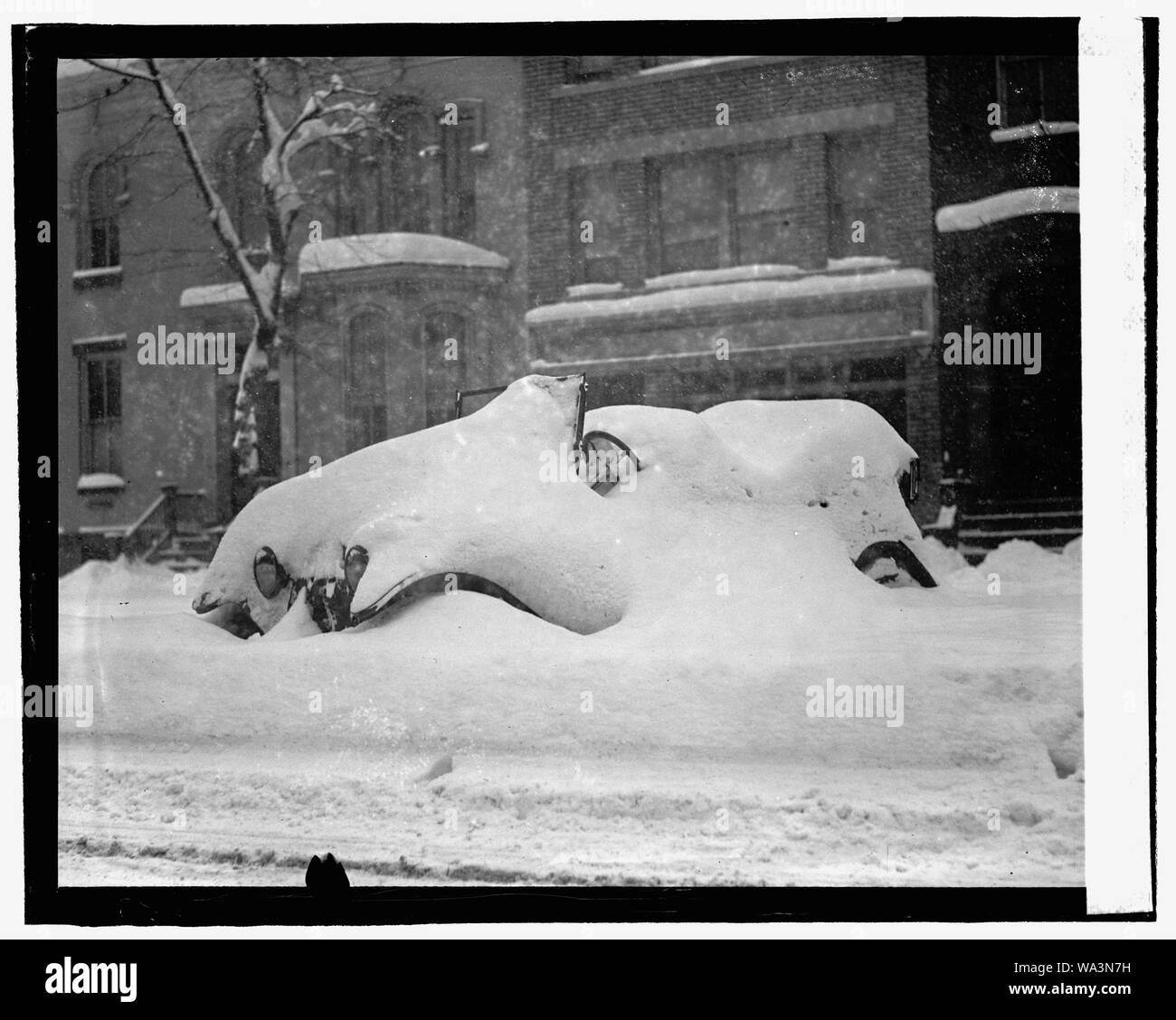 Blizzard, 1/28/22 Foto Stock