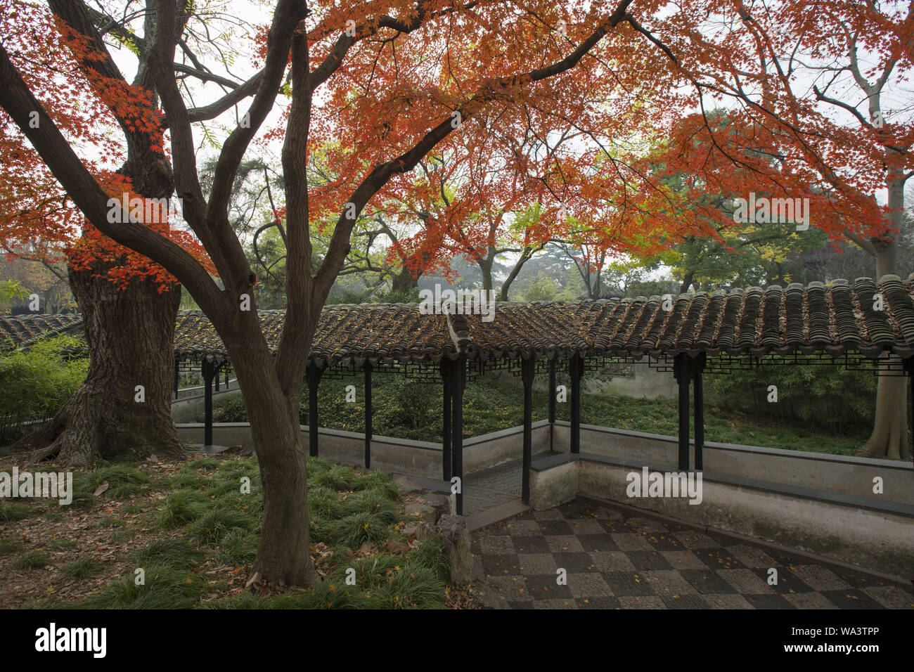 Suzhou umile administrator's garden Foto Stock