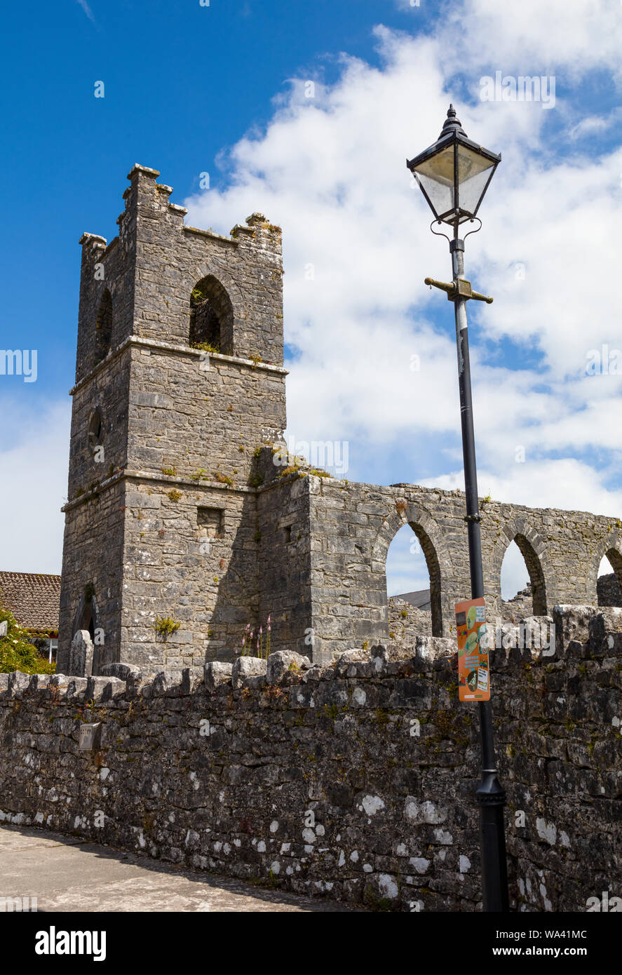 Rovine dell'Abbazia di Cong noto anche come il Royal Abbazia di Cong, nella contea di Mayo in Irlanda Foto Stock