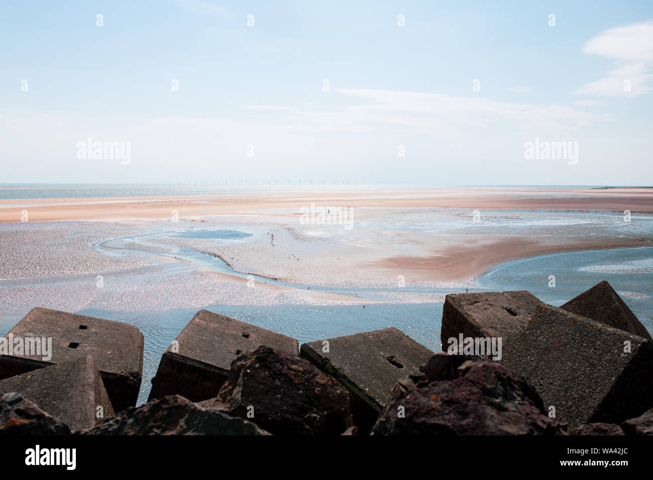 Il Cockle picker sulla spiaggia Foto Stock