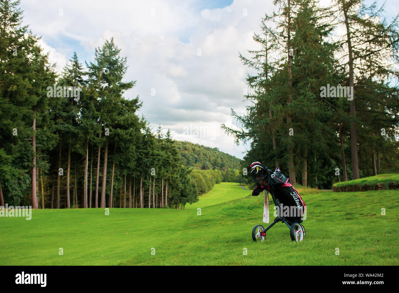 Borsa da golf sul campo da golf Foto Stock